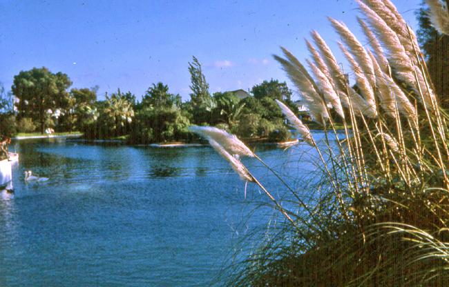 Jardin Oran (1) 650X416.jpg
